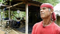 Campesinos colombianos, entre desespero y el regreso a la coca
