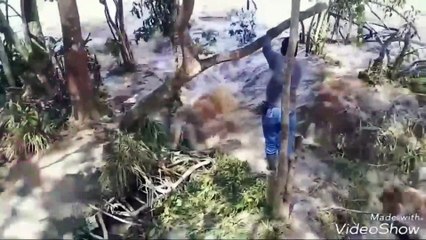 Top de los Tsunami en Todos los Paises del Mundo