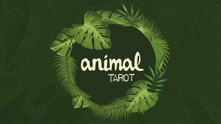 Animal Tarot  by The Other Brothers - Magic Trick