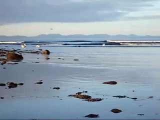 MUSIQUE de RELAXATION POUR les BÉBÉS que j' (30 minutes longue piste!) Aide Bébé à se Détendre & m'Endormir VITE!