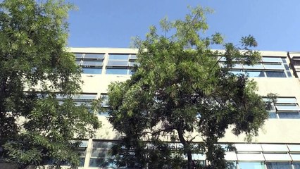 Papa aceita renúncia de cardeal chileno