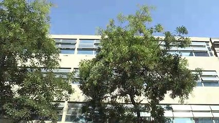 Papa aceita renúncia de cardeal chileno