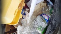 Près de 70.000 déchets récoltés en plein Paris par des bénévoles