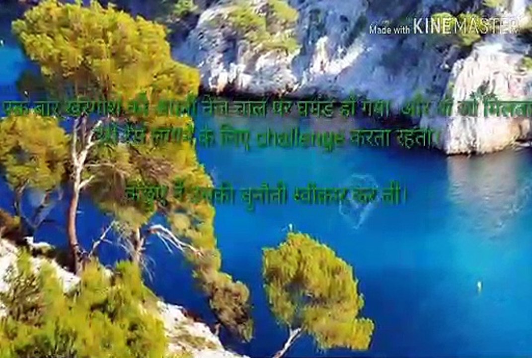 ***  कछुआ और खरगोश – वो कहानी जो आपने नहीं सुनी!