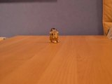 Premier essai d'animation : R2-D2