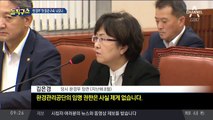 ‘환경부 블랙리스트’ 의혹 김은경 전 장관 구속되나