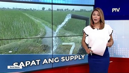 Patubig sa mga sakahan sa Bulacan at Pampanga, sapat ayon sa NIA