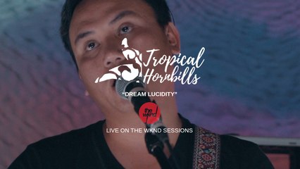 Tropical Hornbills - Dream Lucidity - Live