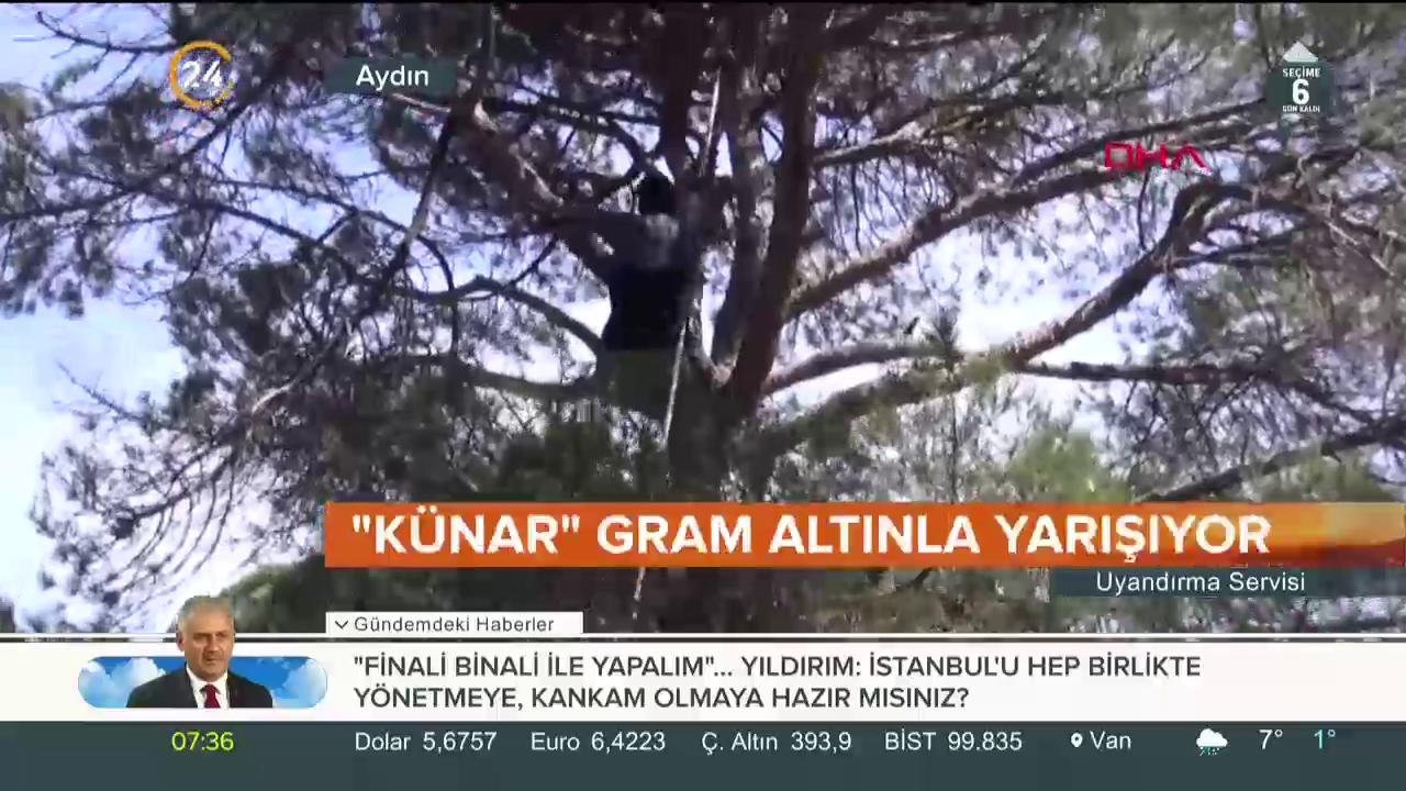 Ülke ekonomisine katkı sağlıyor