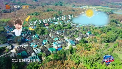 哈哈农夫 第02期 20190315 part 2/2 王源杨超越关于莴笋的论战 金瀚董力卖甘蔗全村尬舞