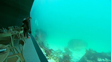 شاهد.. استمتع بوجبات الطعام تحت سطح البحر