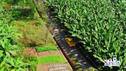 哈哈农夫 第03期 20190322 part 2/2 王源贾乃亮收香蕉默契满分 杨超越金瀚兄妹情升华