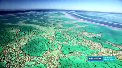 Rocky and Mayur in the land down under – Reliance General Insurance