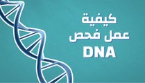 كيفية عمل فحص (DNA)؟