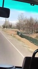 Mountains and Houses in Tashkent. Beautiful country