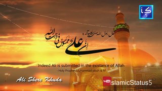 Ali Sher-e-Khuda Haider Haider (ع) | Islamic Status 5 | 2019