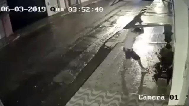 Un homme ivre casse un pot de fleur et se fait instant karma