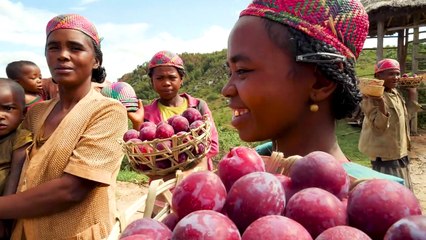 Madagascar Street Food - Super RARE Malagasy Village Food