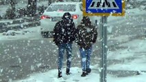Ahlat'ta kar etkili oldu - BİTLİS