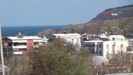 Bandırma'da Ceviz Üretiminde Büyük Başarı... Ceviz Fidanını 36 Ülkeye İhraç Ediliyorlar