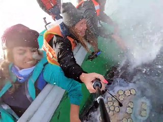 Bless you! Gray whale 'sneezes' right in woman's face