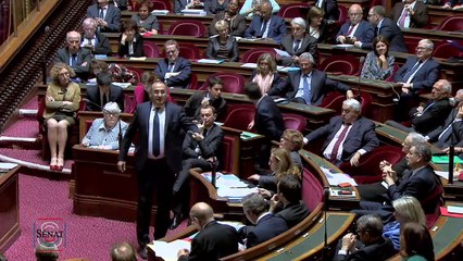 QAG - Philippe Dominati : "Dans quels délais vous engagez-vous à rétablir l'ordre à Paris ?"