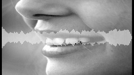 Minute Papillon! Flash info midi  - 25 mars 2019