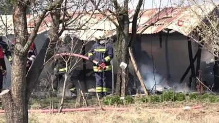 Yanan Kümesteki Horozlarını Kurtarmak İsterken Canından Oluyordu