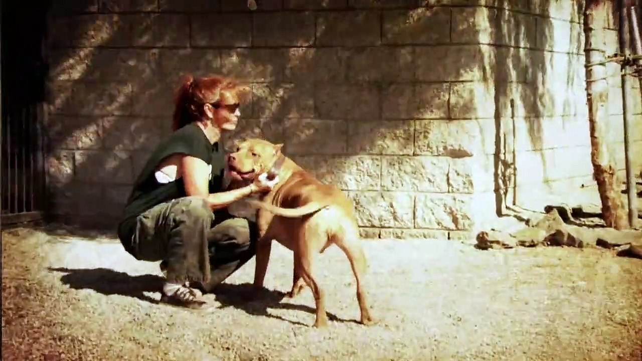 Pit Bulls And Parolees S02E02