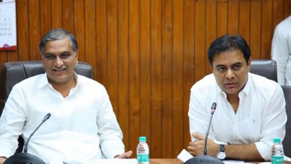 Loksabha Election 2019 : టీఆర్ఎస్ స్టార్ క్యాంపెయినర్లు ఎర్రబెల్లి, తలసాని | Oneindia Telugu