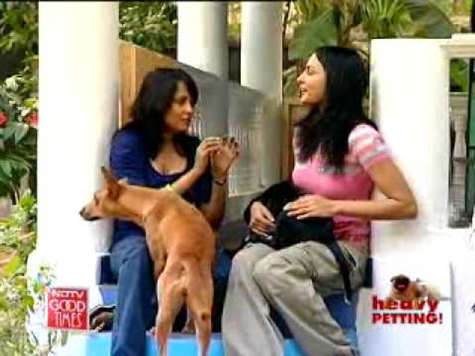 Pet parenting made easy