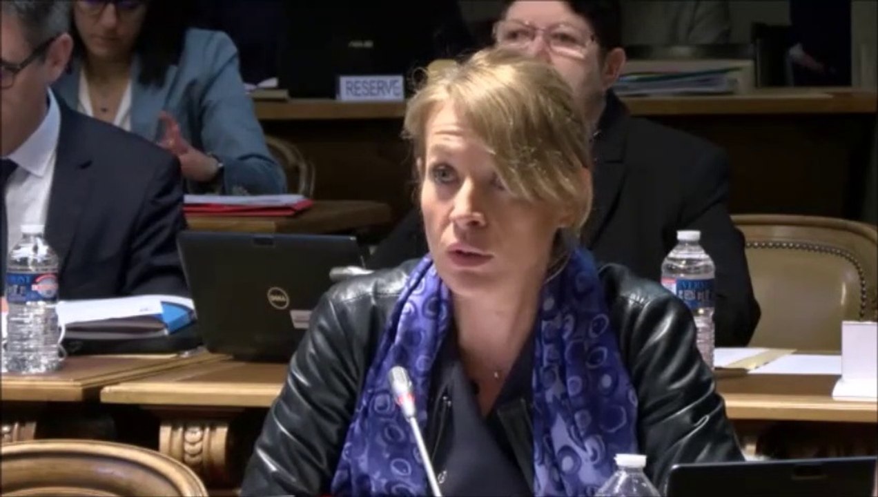 Nathalie KOENDERS. Discussion générale. Session du 25 mars 2019