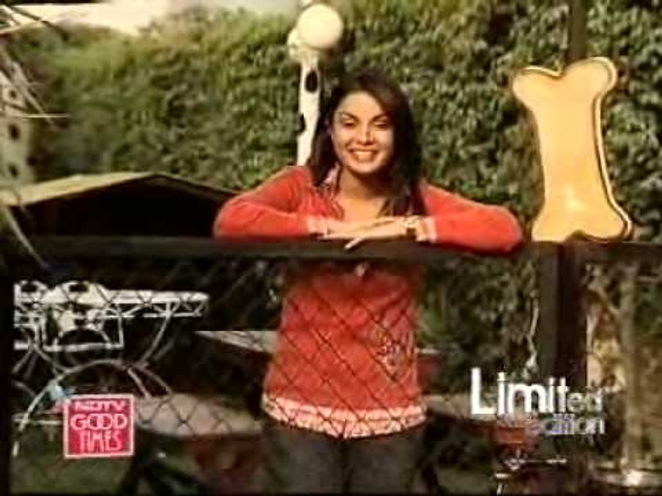 Peek a bow in a doggie hotel