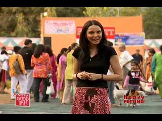 Catch the canine carnival