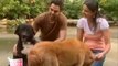 Heavy Petting: I can’t trust people who don't like dogs, says Abhay Deol