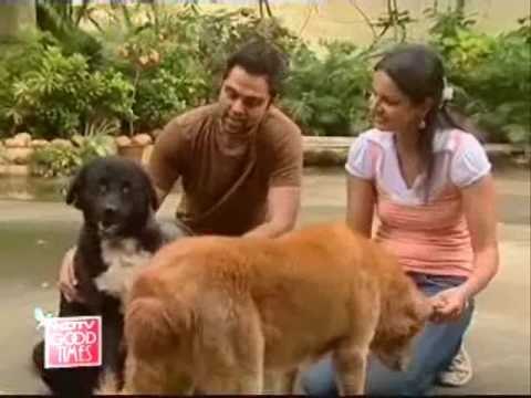 Heavy Petting: I can’t trust people who don't like dogs, says Abhay Deol