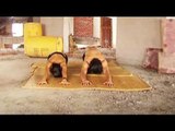 Yoga for purity
