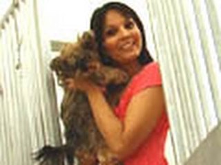 A holiday home for your pet