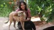 Seema visits International Animal Rescue in Goa