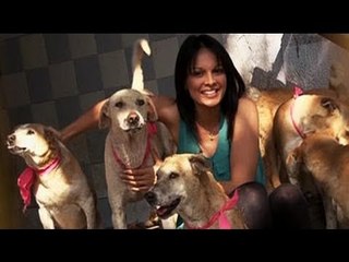 An NGO for animals in Vadodara