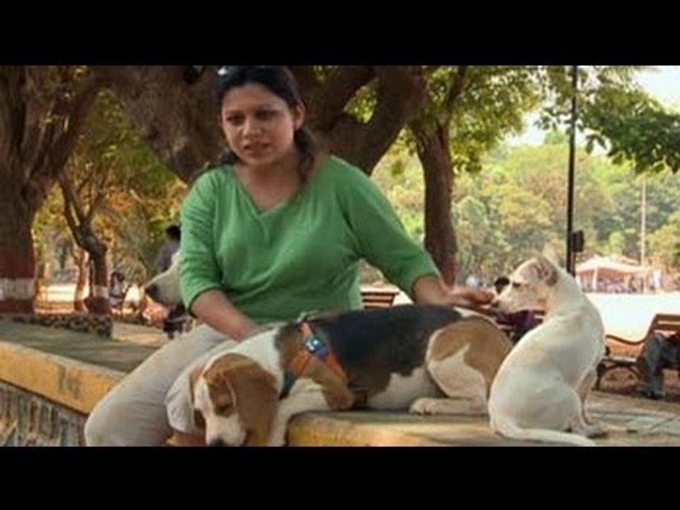 Beagles, big surprise in a small package