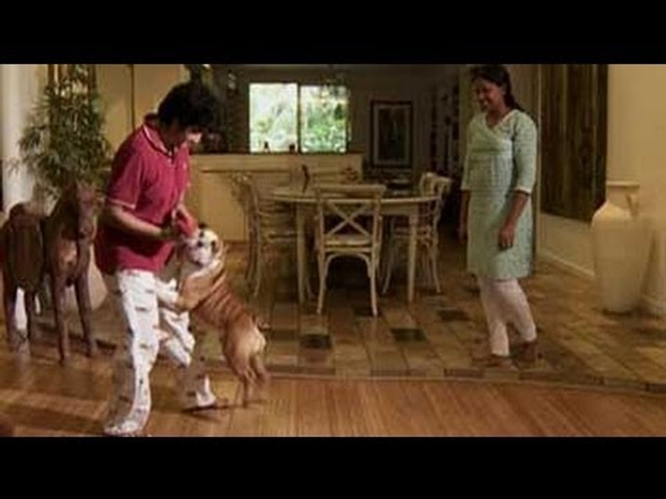 Heavy Petting season finale in Ooty