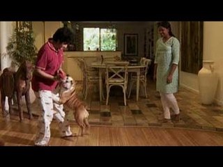 Heavy Petting season finale in Ooty