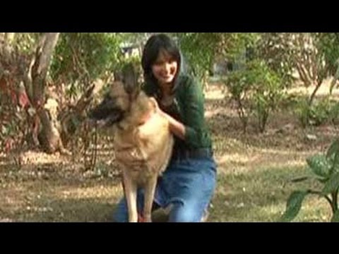 ⁣At Pune's largest animal shelter