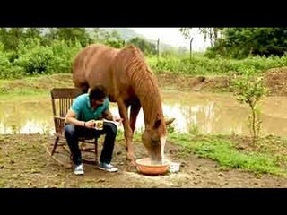 Get to know more about animal laws