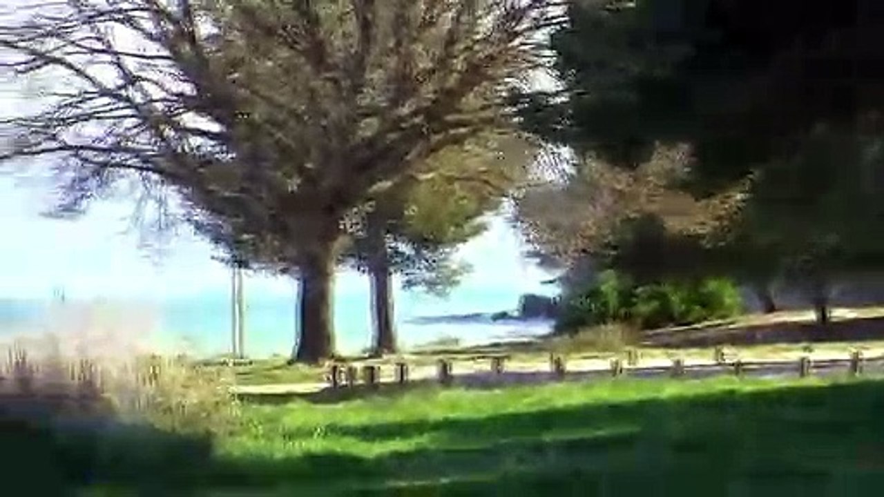 Le nuage de pollen jaune vu depuis le parc de Figuerolles à Martigues.