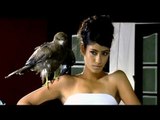 Hunt For The Kingfisher Calendar Girl 2013 Episode 3: Girls pose with their feathered friend