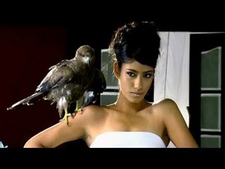 Hunt For The Kingfisher Calendar Girl 2013 Episode 3: Girls pose with their feathered friend