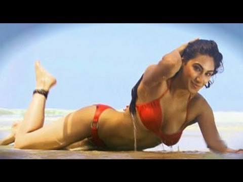 Hunt For The Kingfisher Calendar Girl 2013 Episode 1: The fight begins