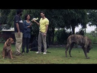 Heavy Petting with the Mores